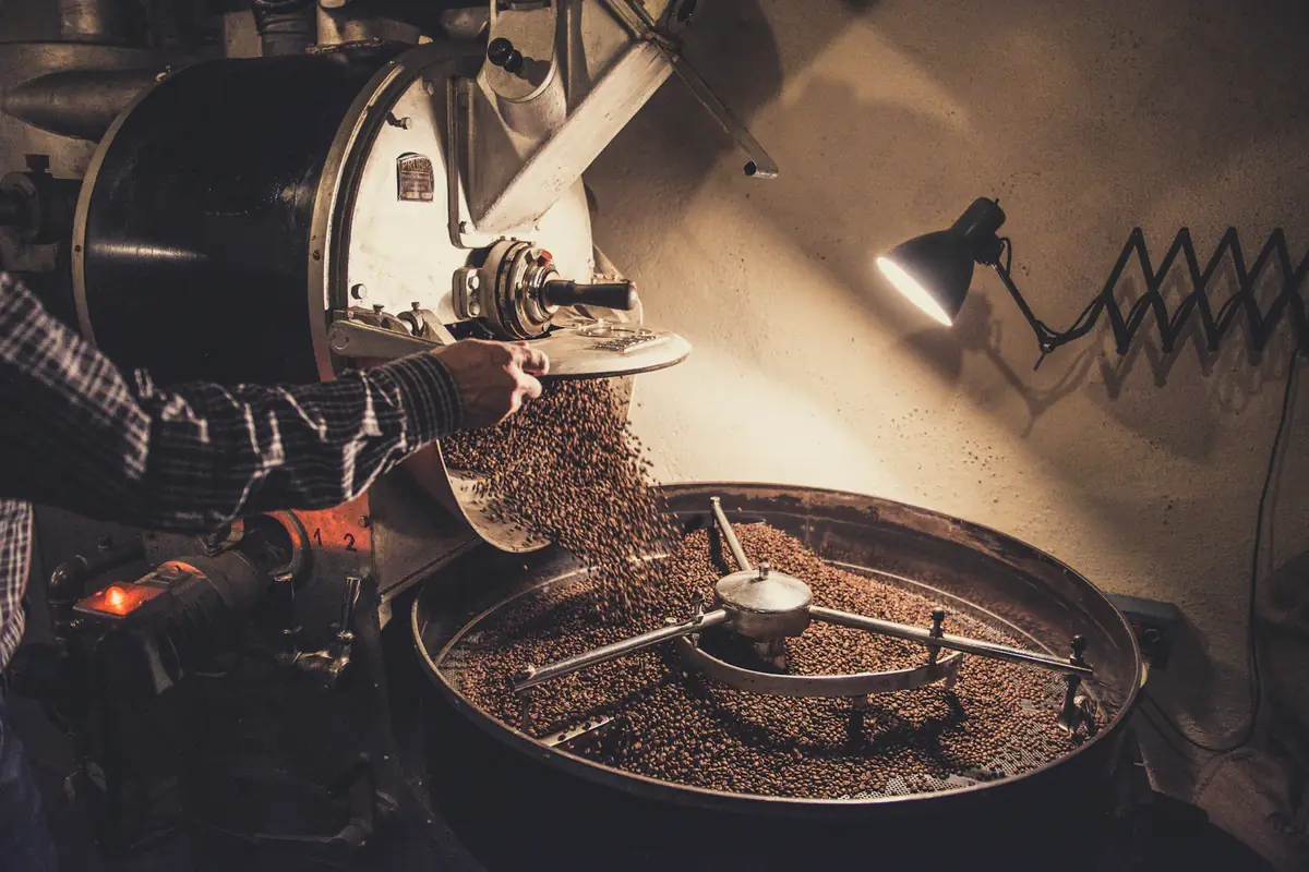 A roaster pouring green coffee beans into the drum